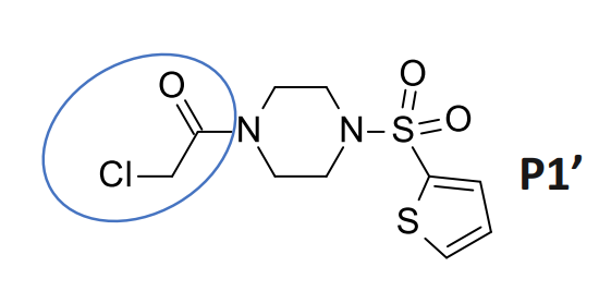 chloracetamide_identity